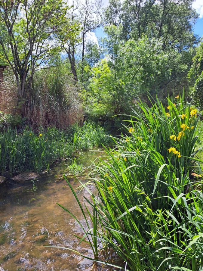 Le Moulin Etourneau - 3 Gites Avec 2 Piscines Champagnac  Esterno foto