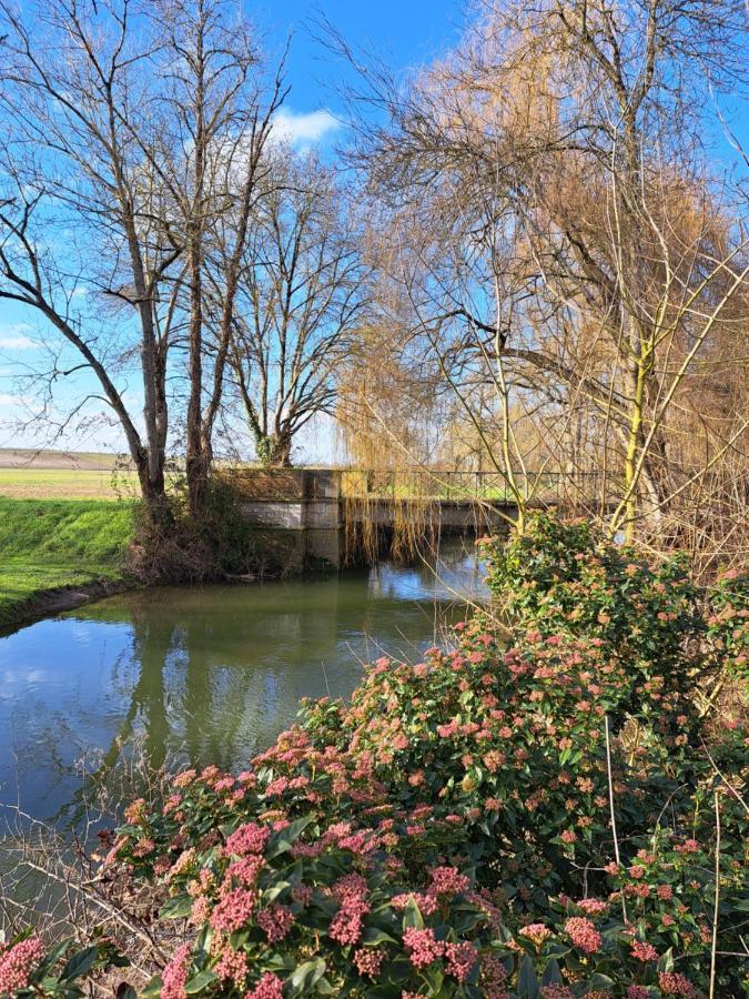 Le Moulin Etourneau - 3 Gites Avec 2 Piscines Champagnac  Esterno foto